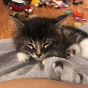 Meet your Posher, Bobbi-lyn